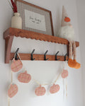 the pumpkin patch